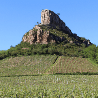 Mâconnais and Beaujolais, 2022 : a record-breaking early vintage