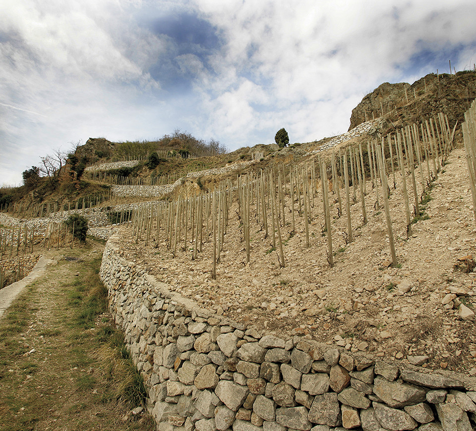 la colline de l'Hermitage et ses murets en pierres.
