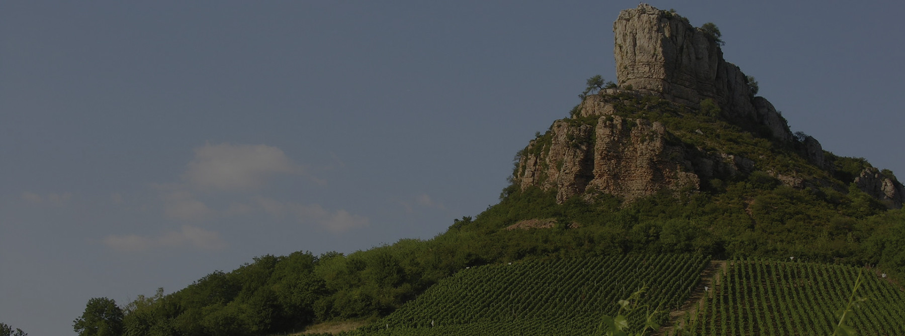 La Roche de Solutré s'élève au dessus des vignes TRENEL.