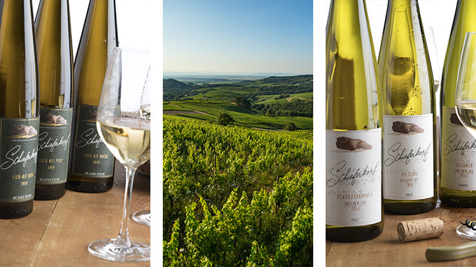 Les 3 sélections parcellaires, suivi d'un paysage de vignes au printemps, puis une sélection de 3 vins.