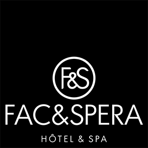 logo F&S