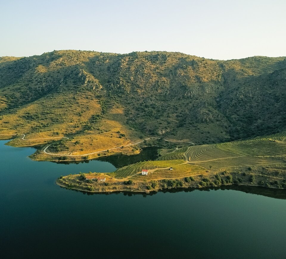 Dos Lusiadas Portugal vignes