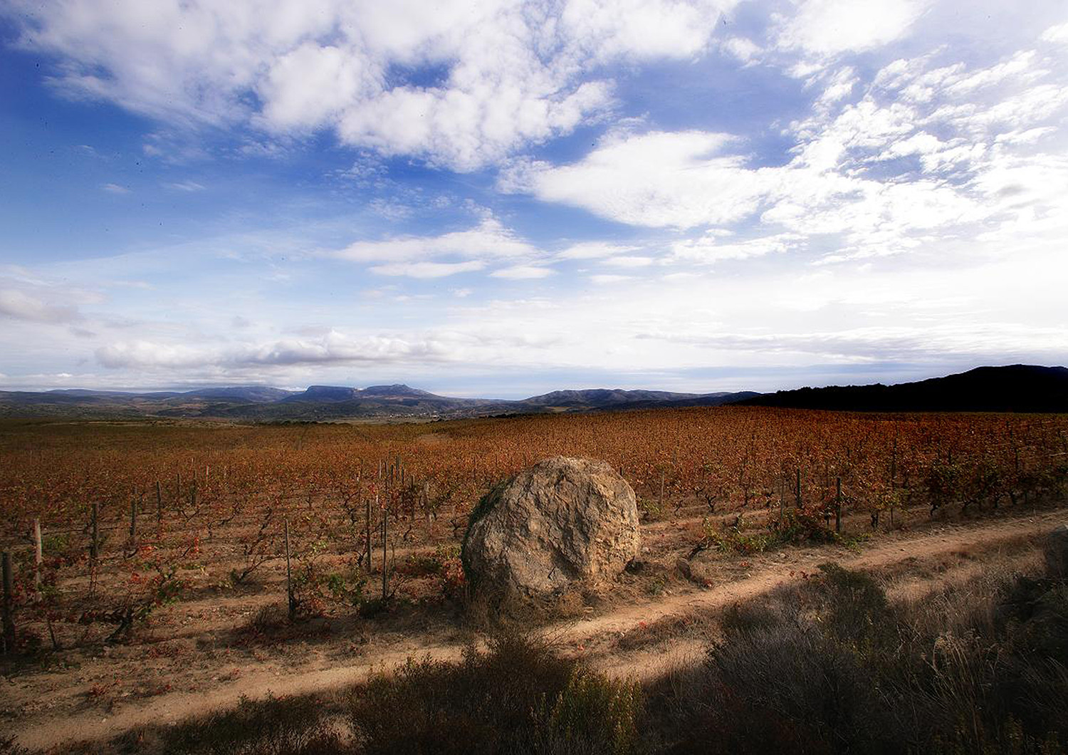 Côtes du Roussillon