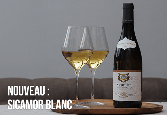 Sicamor blanc