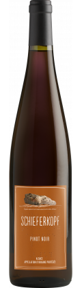 Alsace Pinot noir