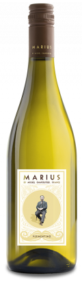 Marius Vermentino