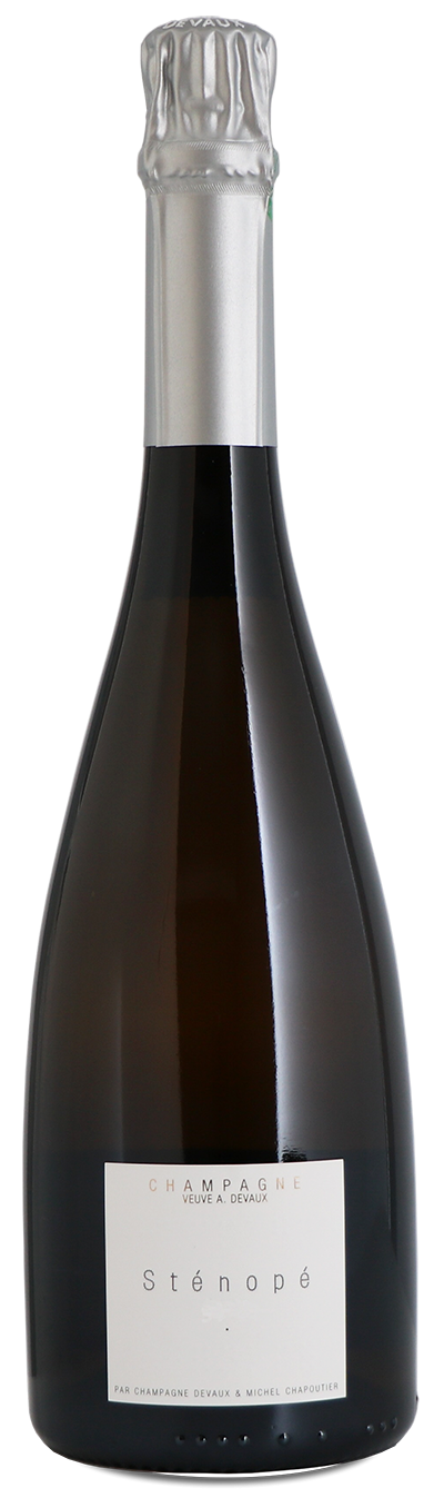 Champagne Sténopé