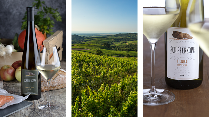Les 3 sélections parcellaires, suivi d'un paysage de vignes au printemps, puis une sélection de 3 vins.