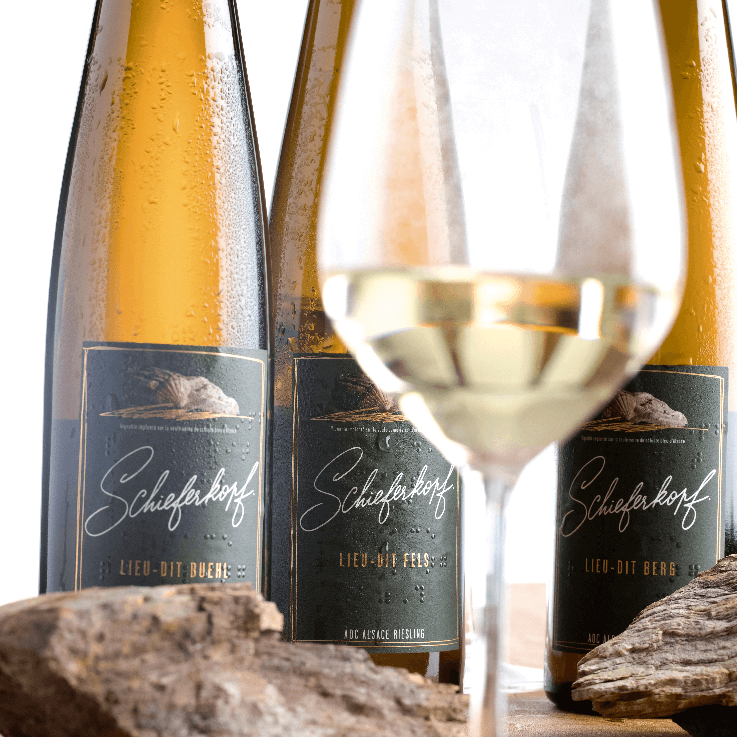 Coffret Au Fil du Rhin , Bassin du Rhin - Alsace Riesling: vin de la Maison  M.CHAPOUTIER