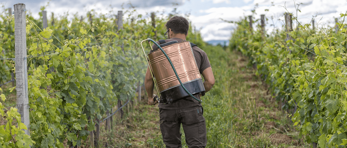 Biodynamie : qu'est-ce que la 500P ?