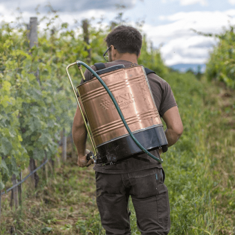 Biodynamie : qu'est-ce que la 500P ?