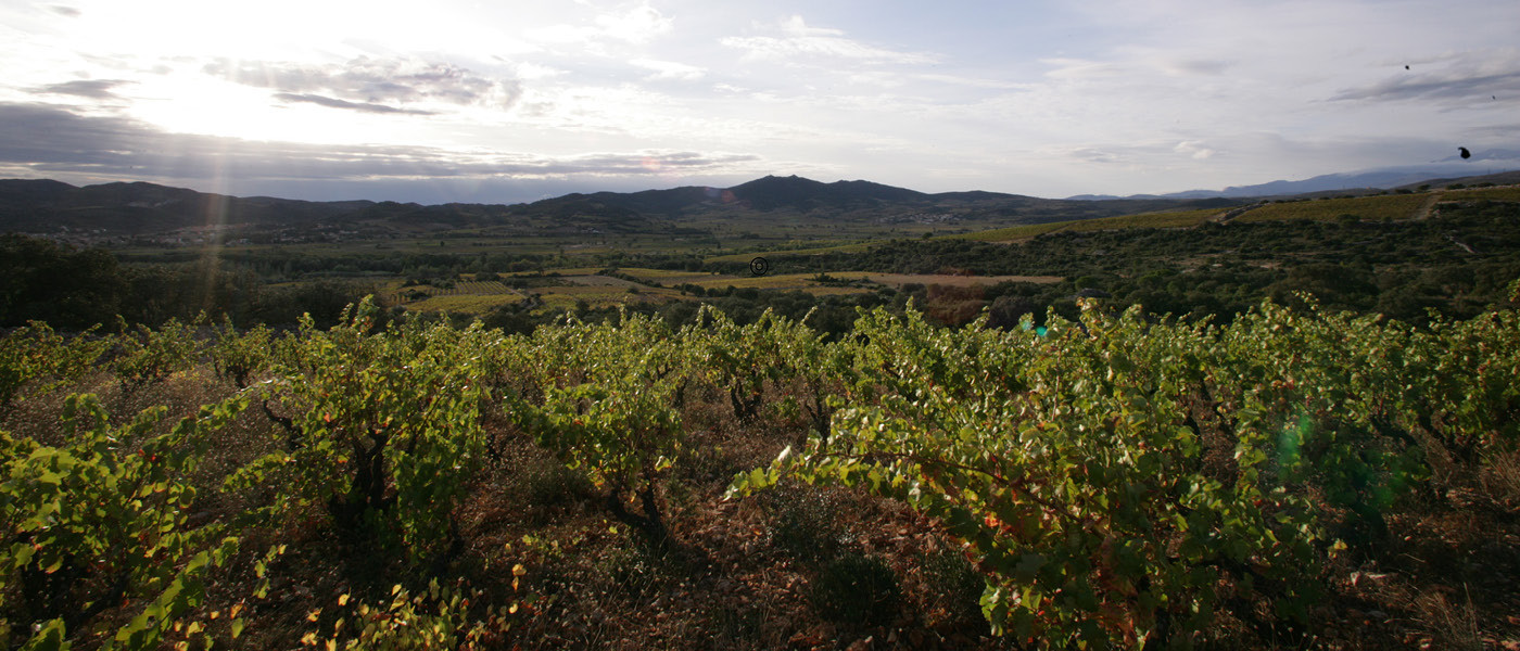 Présentation du Domaine de Bila-Haut