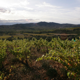 Présentation du Domaine de Bila-Haut