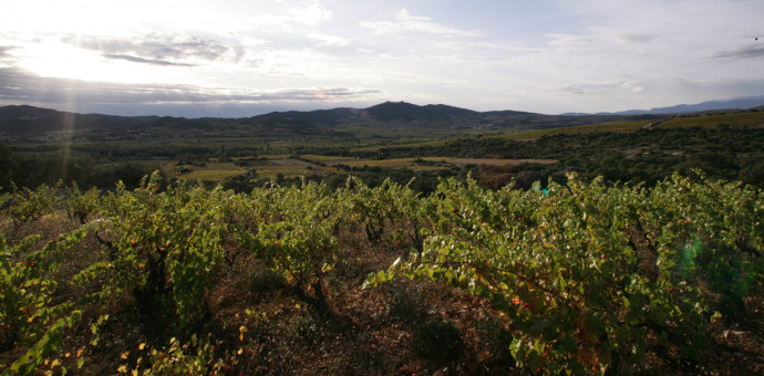 Présentation du Domaine de Bila-Haut