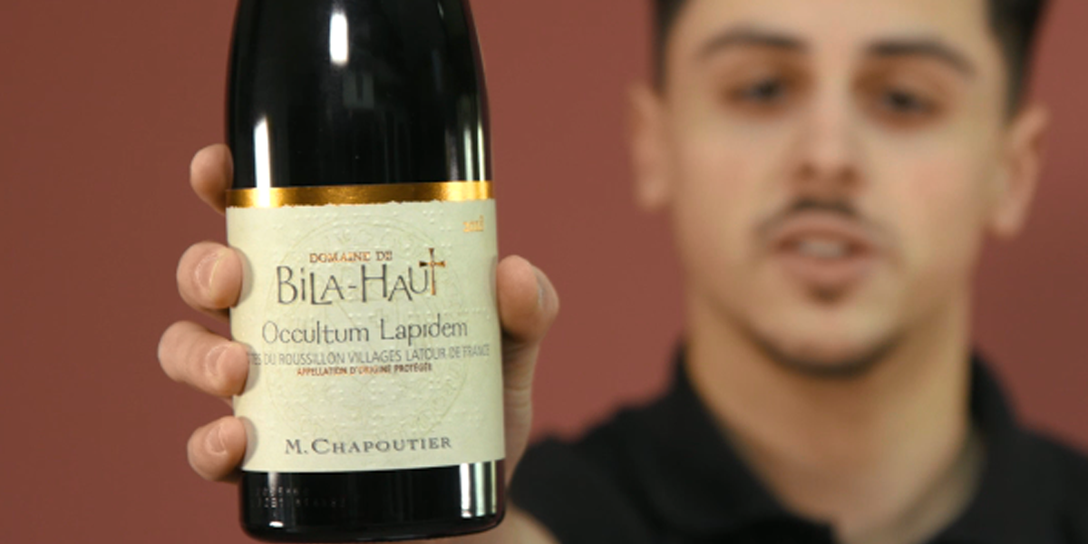 Tasting of Occultum Lapidem red wine from Domaine de Bila-Haut