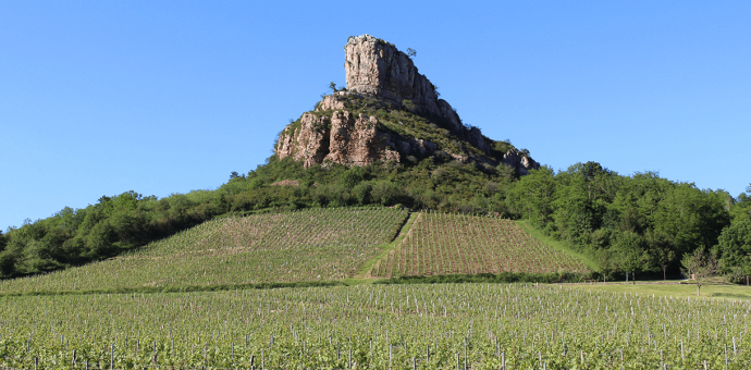 Mâconnais and Beaujolais, 2022 : a record-breaking early vintage