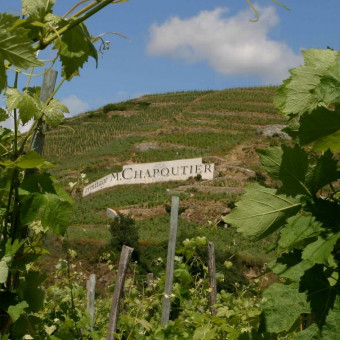 Les vins de la Vallée du Rhône : le millésime 2020 selon Michel Chapoutier