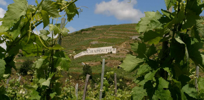 Les vins de la Vallée du Rhône : le millésime 2020 selon Michel Chapoutier