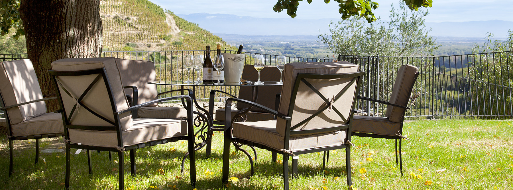 Une pause au cœur des vignes