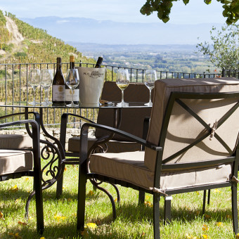 A break in the heart of the vineyards