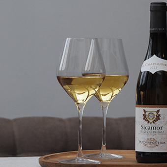 Discover Sicamor white, a new revelation from AOP Crozes-Hermitage