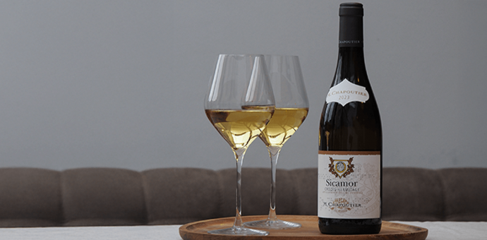 Discover Sicamor white, a new revelation from AOP Crozes-Hermitage