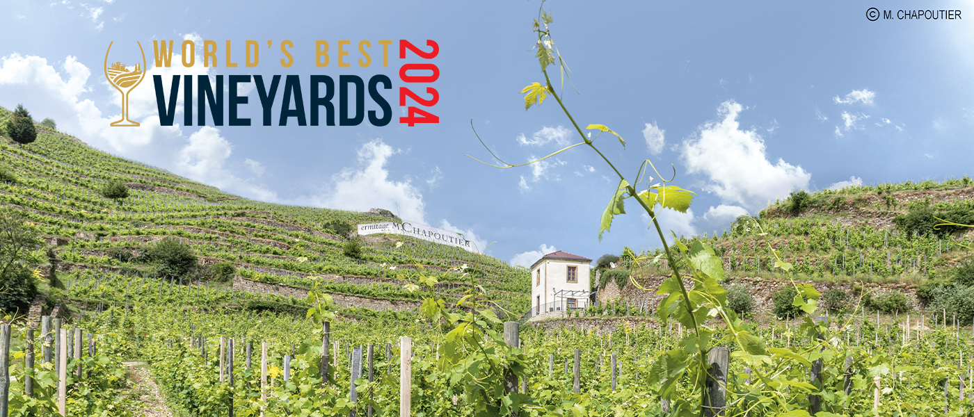 M. CHAPOUTIER in the TOP 50 of ‘the world's best wine tourism destinations’ by World's Best Vineyards