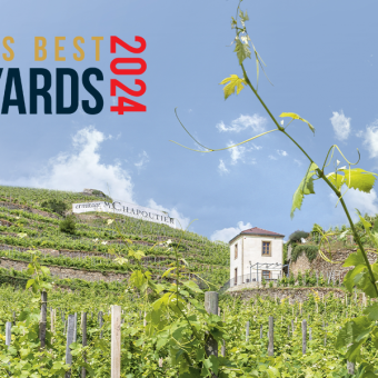 M. CHAPOUTIER in the TOP 50 of ‘the world's best wine tourism destinations’ by World's Best Vineyards