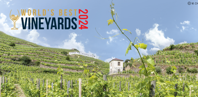 M. CHAPOUTIER in the TOP 50 of ‘the world's best wine tourism destinations’ by World's Best Vineyards
