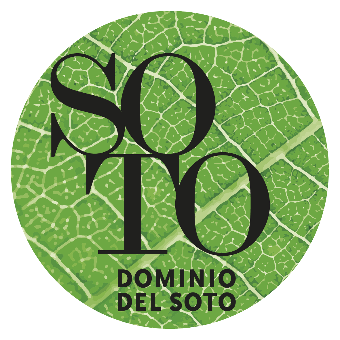 Dominio del Soto