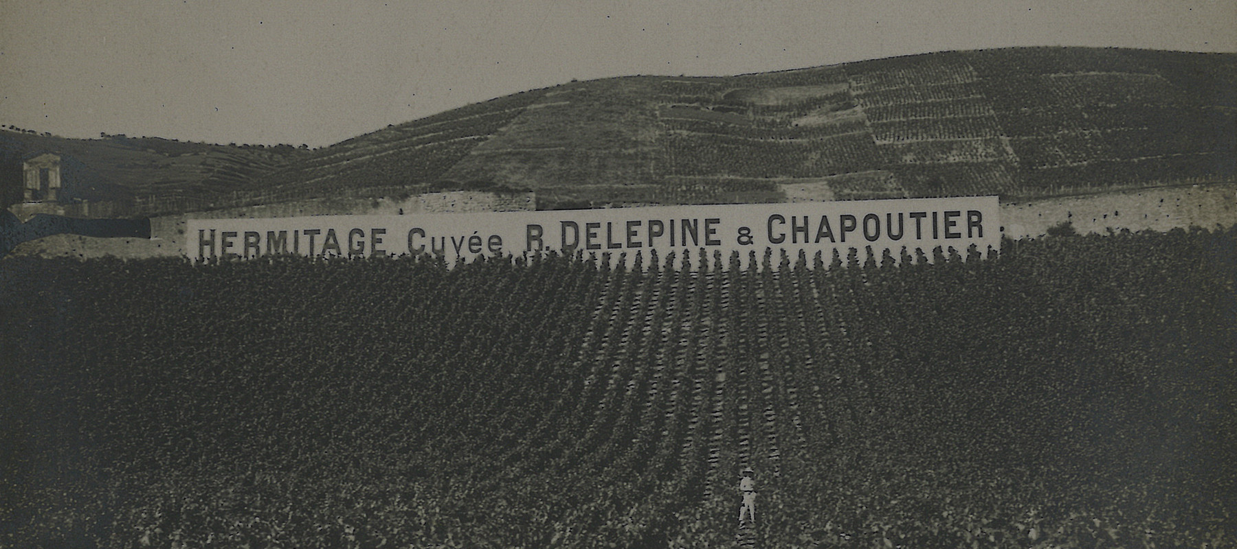 Photo des vignes de la Maison au pied de la colline de l'Hermitage avec un mur en fond indiquant "Hermitage Cuvée Delepine & Chapoutier".