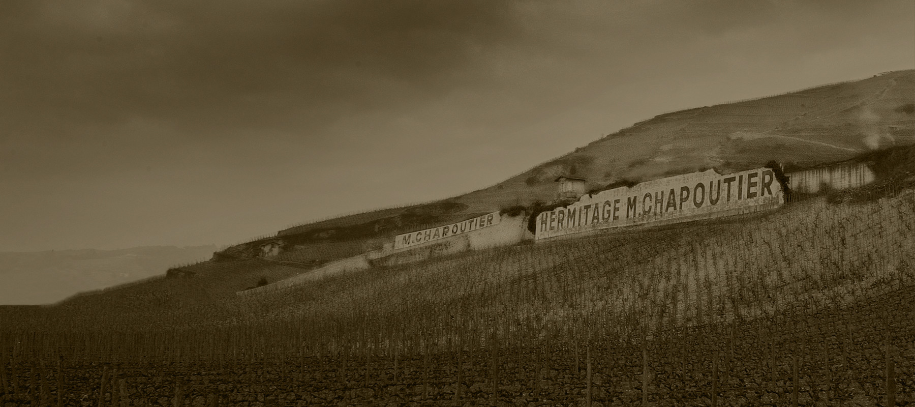 M. CHAPOUTIER's wall, at the top of Hermitage's hill.