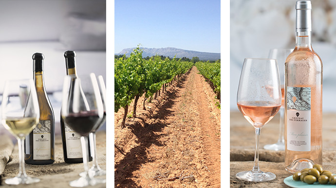 Les deux sélections parcellaires du Château des Ferrages, les vignes bordées à l'horizon par la montagne Sainte Victoire,  le rosé "Mon Plaisir" accompagné d'olives.