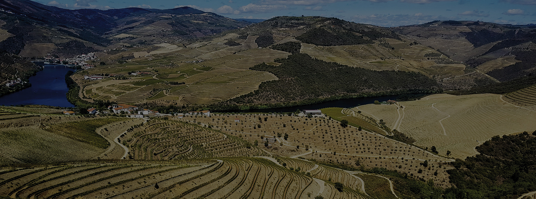 La vallée du Douro et nos vignes.