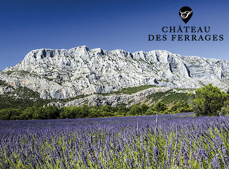 Un champ de lavandes, derrière nous voyons la montagne Sainte-Victoire.