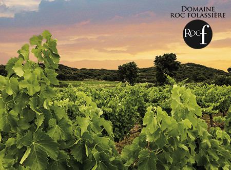 Roc Folassière vines