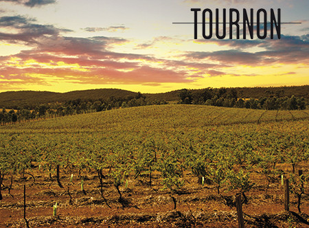 Les vignes australiennes à l'heure de l'été indien.