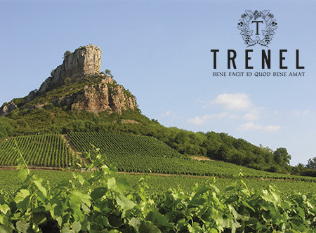 La roche de Solutré s'élève au dessus des vignes TRENEL.