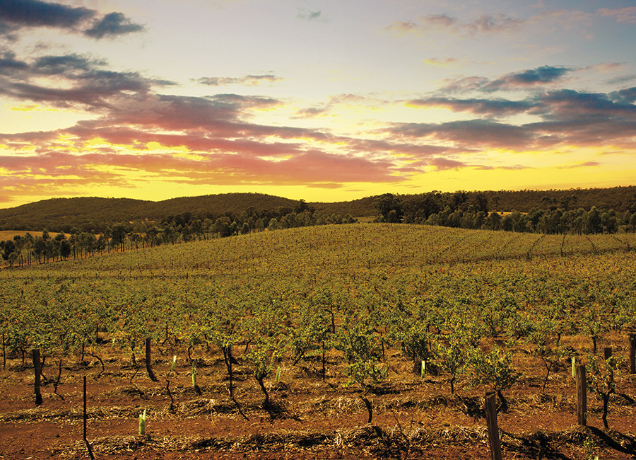 Vignoble Australie - Victoria