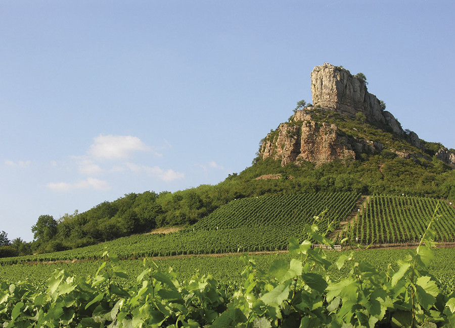 Bourgogne, Beaujolais - TRENEL