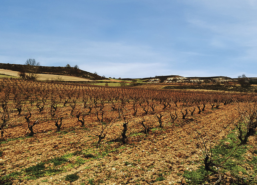 Vignoble Espagne - Douro