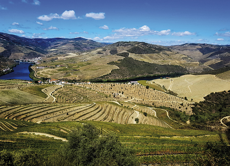 Portugal, vignoble