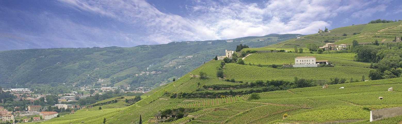 Tain l'Hermitage