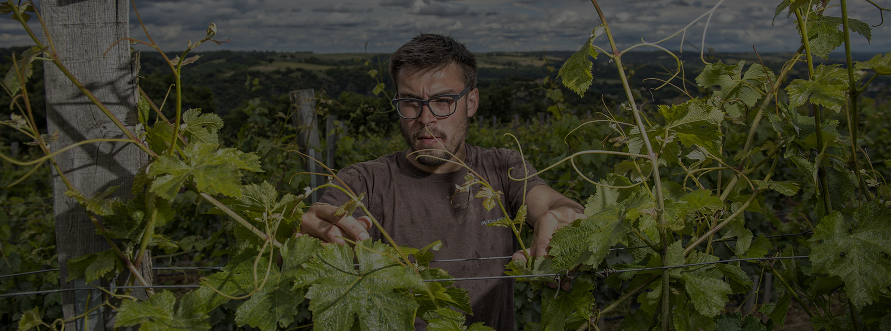 Maxime Chapoutier, au printemps, dans les vignes de Combe Pilate, cultivées en biodynamie.