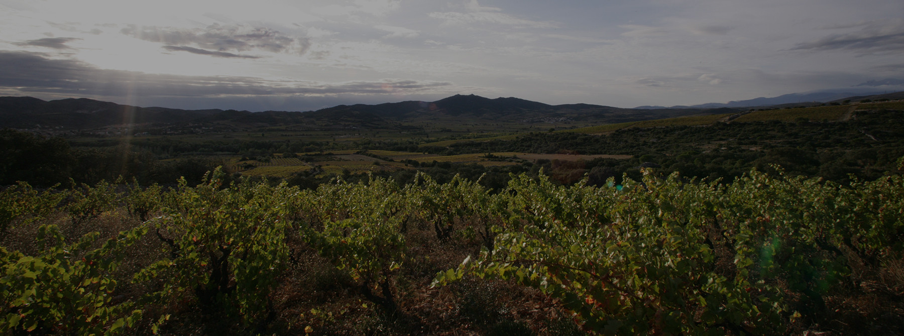 The occult rock before Bila-Haut vines.