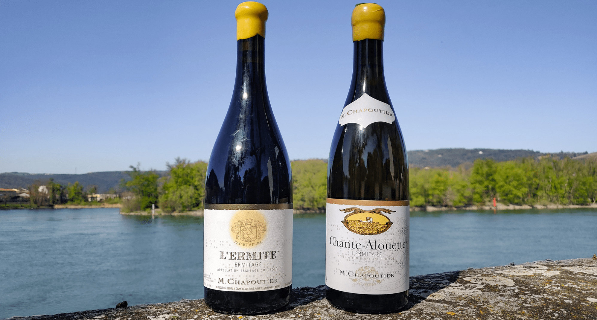  Everything you need to know about Ermitage and Hermitage appellation