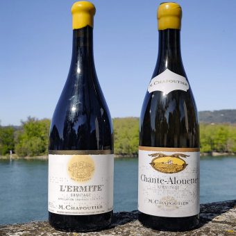 Tout savoir sur les vins en appellations Ermitage et Hermitage