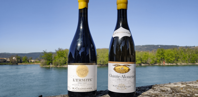 Tout savoir sur les vins en appellations Ermitage et Hermitage