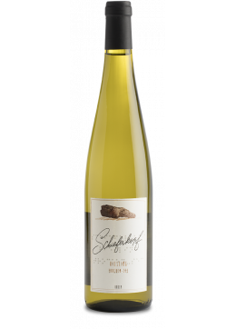 Riesling Baden