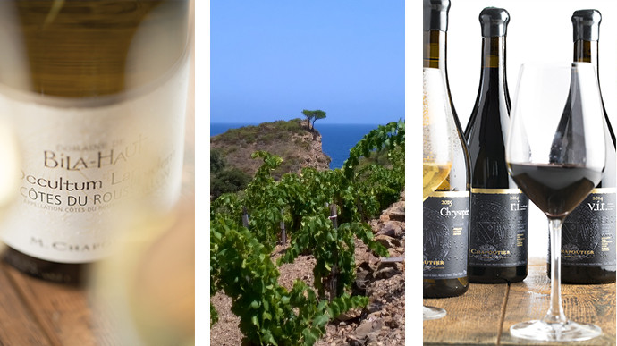 Notre vin blanc Occultum Lapidem, ainsi que les vignes de notre Collioure sur une falaise surplombant la mer méditerranéenne, puis les 3 sélections parcellaires.